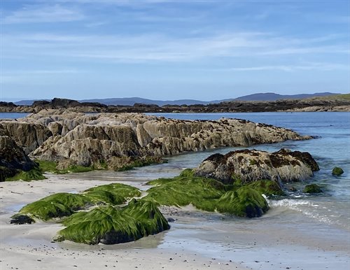 Iona shoreline