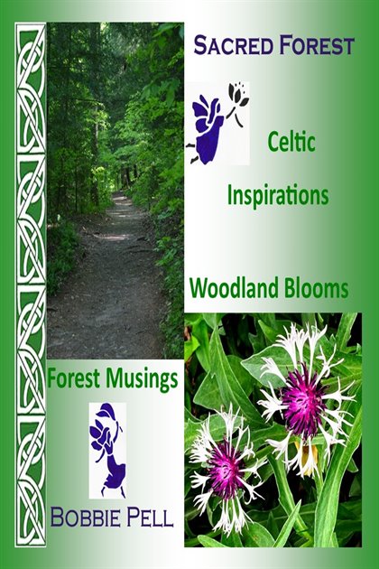 Sacred Forest cover